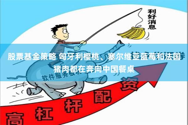 股票基金策略 匈牙利樱桃、塞尔维亚蓝莓和法国猪肉都在奔向中国餐桌