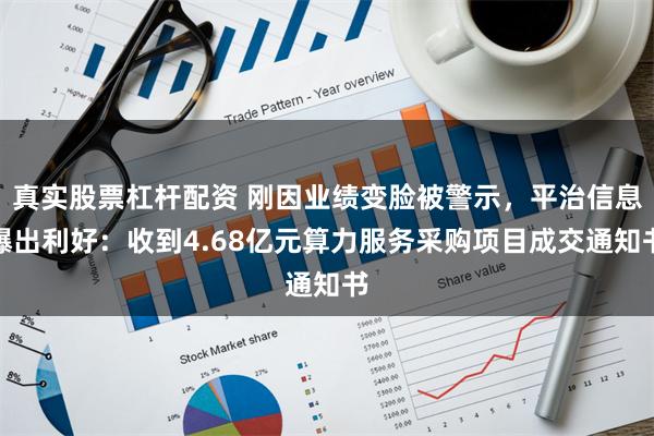 真实股票杠杆配资 刚因业绩变脸被警示，平治信息曝出利好：收到4.68亿元算力服务采购项目成交通知书