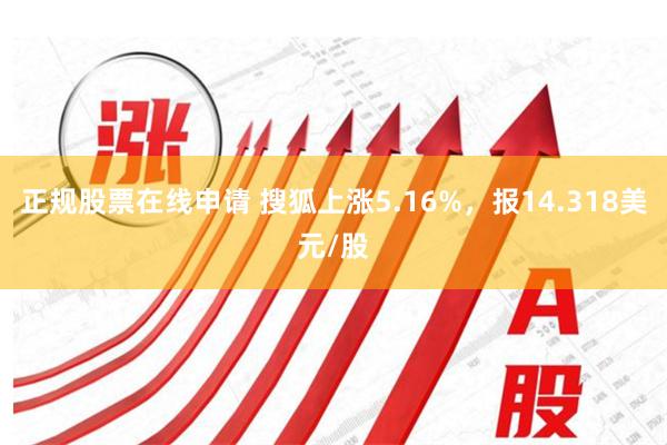 正规股票在线申请 搜狐上涨5.16%，报14.318美元