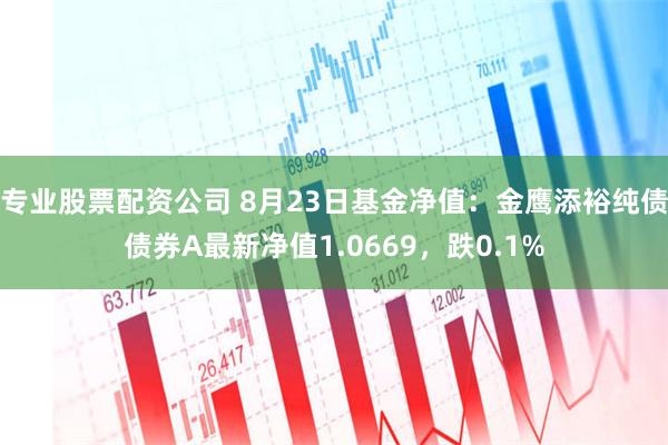 专业股票配资公司 8月23日基金净值：金鹰添裕纯债债券A最新