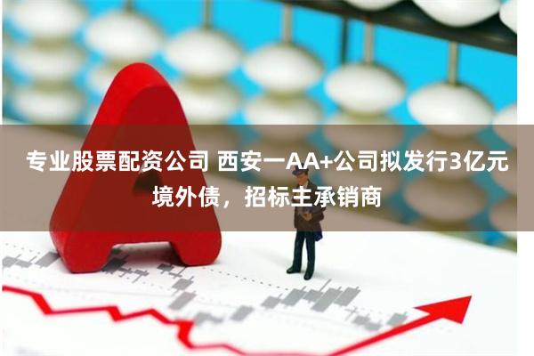 专业股票配资公司 西安一AA+公司拟发行3亿元境外债，招标主