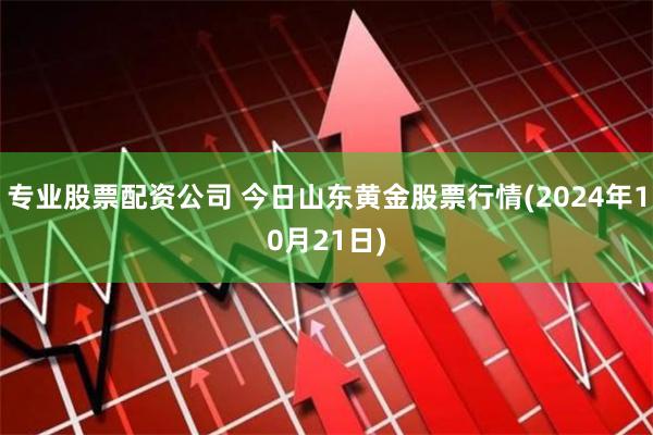 专业股票配资公司 今日山东黄金股票行情(2024年10月