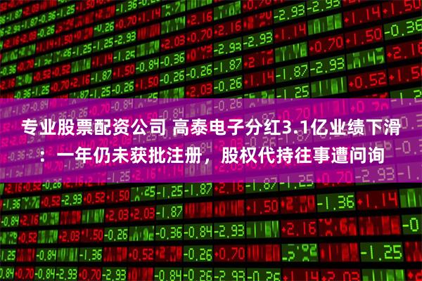 专业股票配资公司 高泰电子分红3.1亿业绩下滑：一年仍未