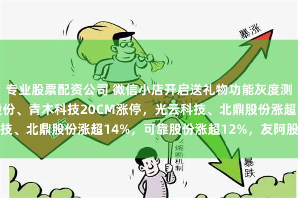 专业股票配资公司 微信小店开启送礼物功能灰度测试，*ST