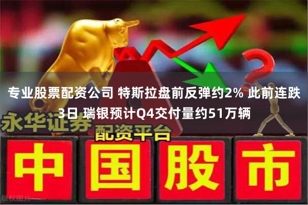 专业股票配资公司 特斯拉盘前反弹约2% 此前连跌3日 瑞银预