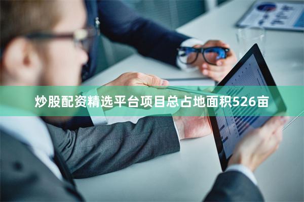 炒股配资精选平台项目总占地面积526亩