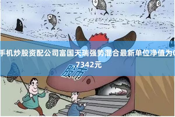 手机炒股资配公司富国天瑞强势混合最新单位净值为0.7342元