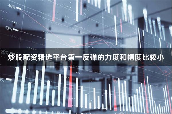 炒股配资精选平台第一反弹的力度和幅度比较小