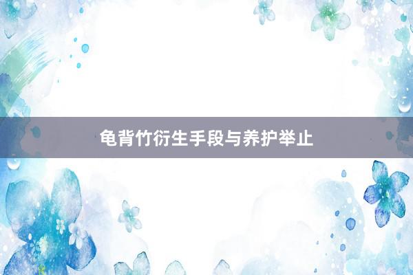 龟背竹衍生手段与养护举止