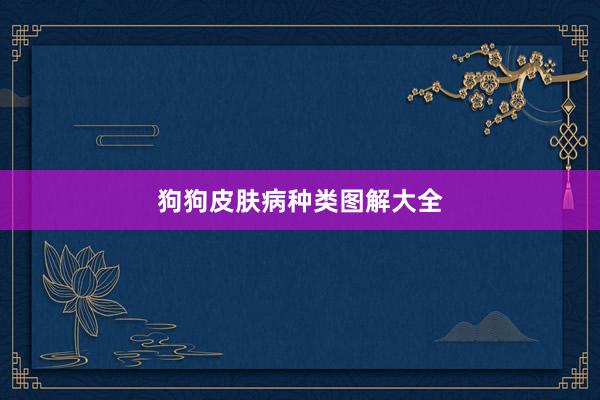 狗狗皮肤病种类图解大全