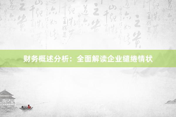 财务概述分析：全面解读企业缱绻情状